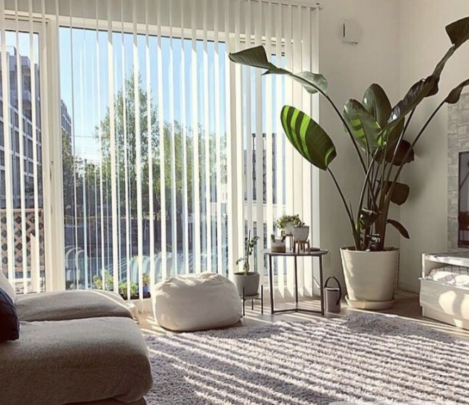 Vertical Blinds